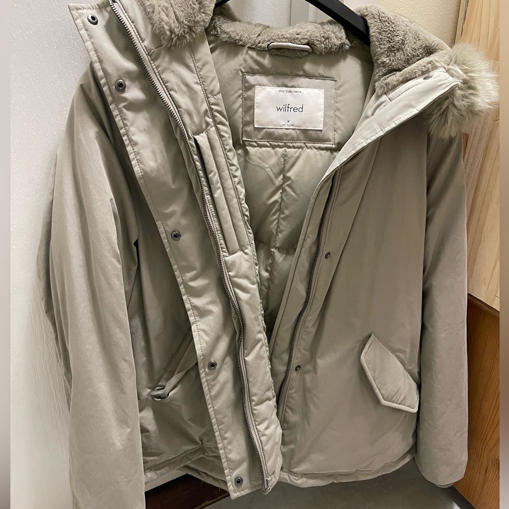 Aritzia Wilfred coat